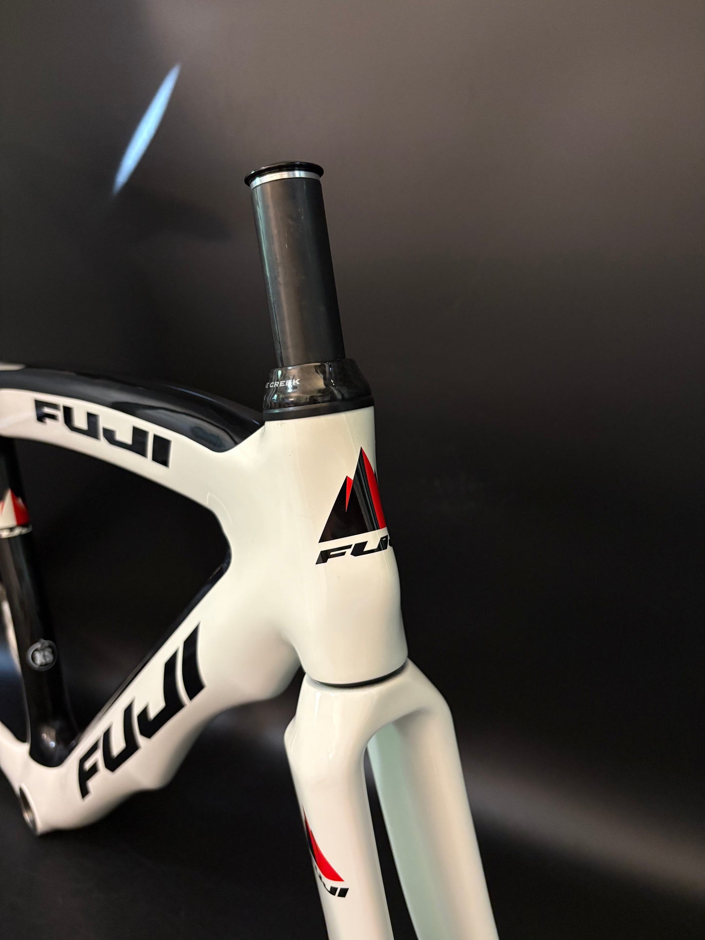 Fuji Track Elite Carbon Frameset White XS