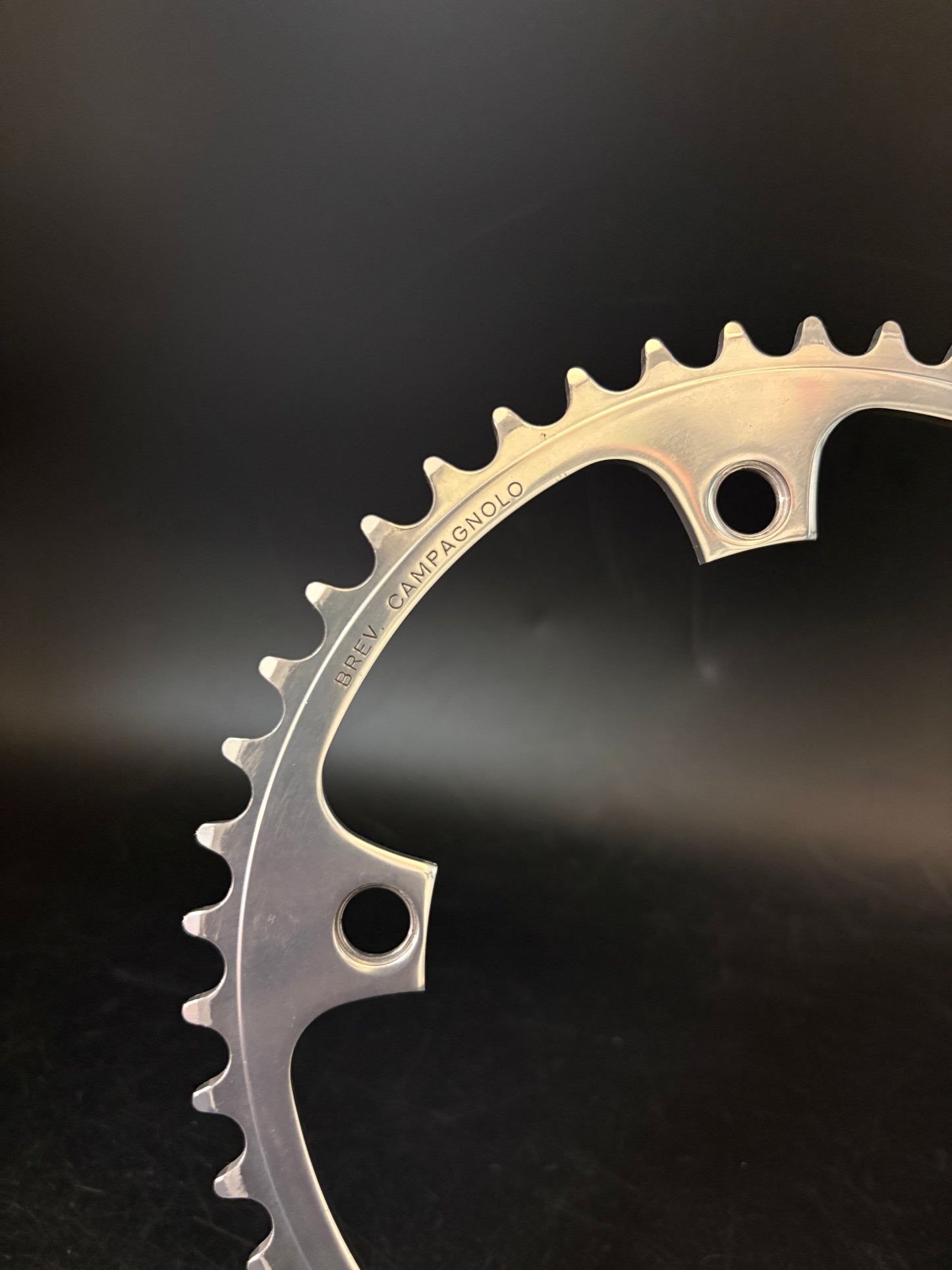 Campagnolo Record Chainring Silver 48t