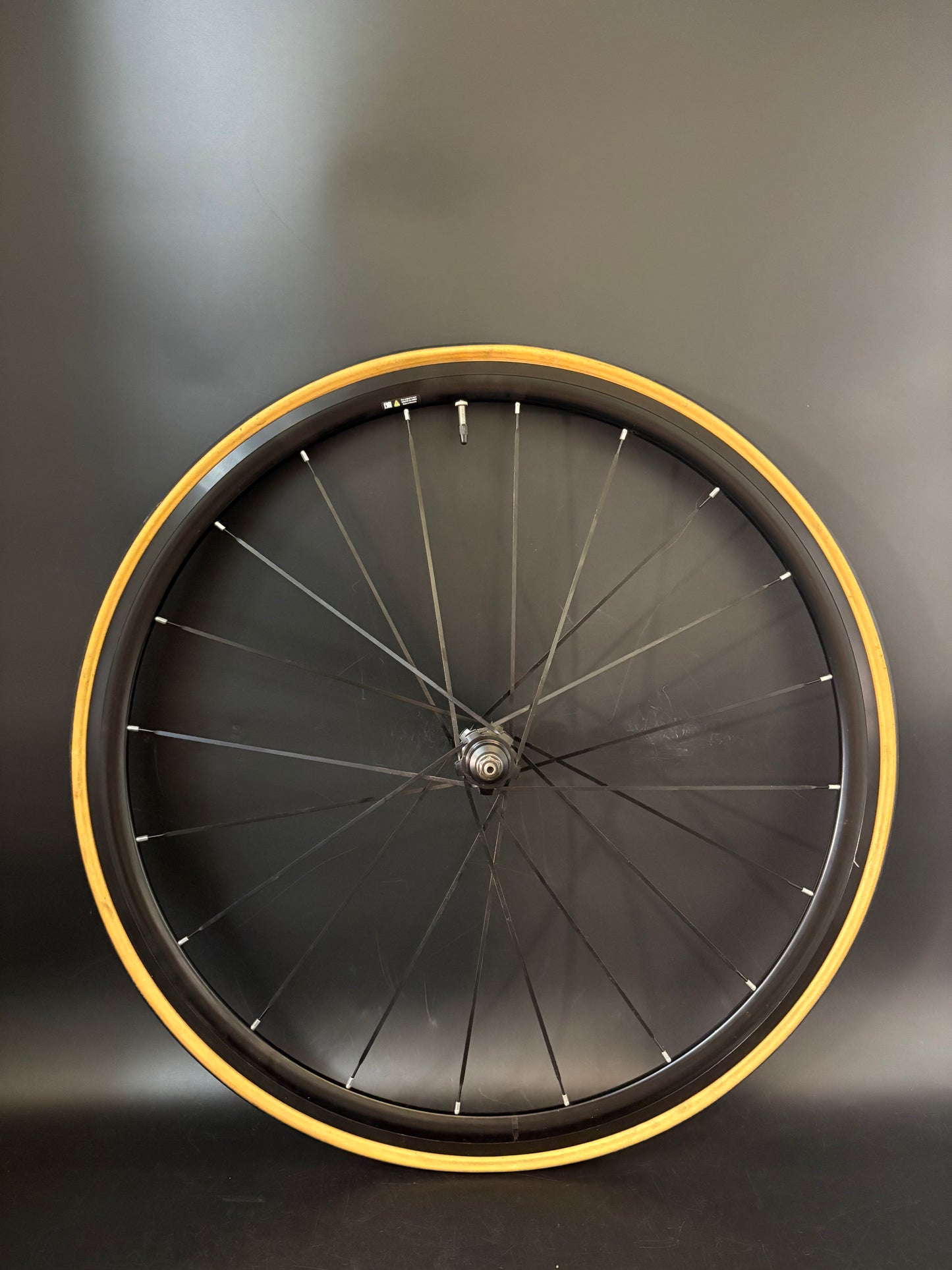 Mavic Ellipse Wheelset Black 20h