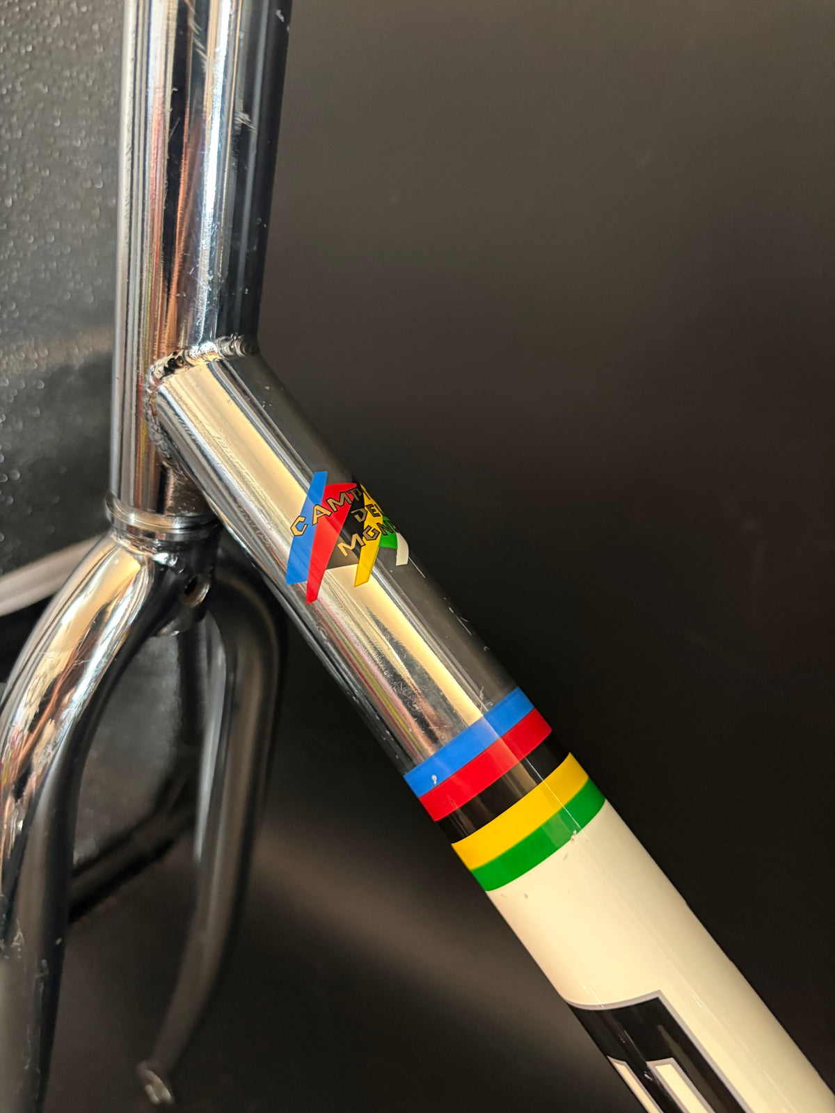 Bianchi Pista Frameset Chrome 59cm