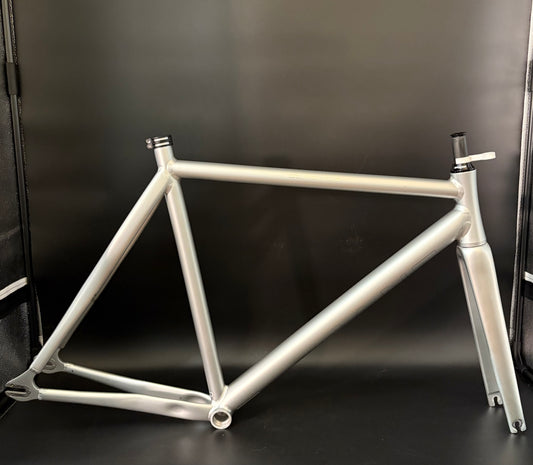 Tyrant Beastie Frameset Silver Matte Ice XL