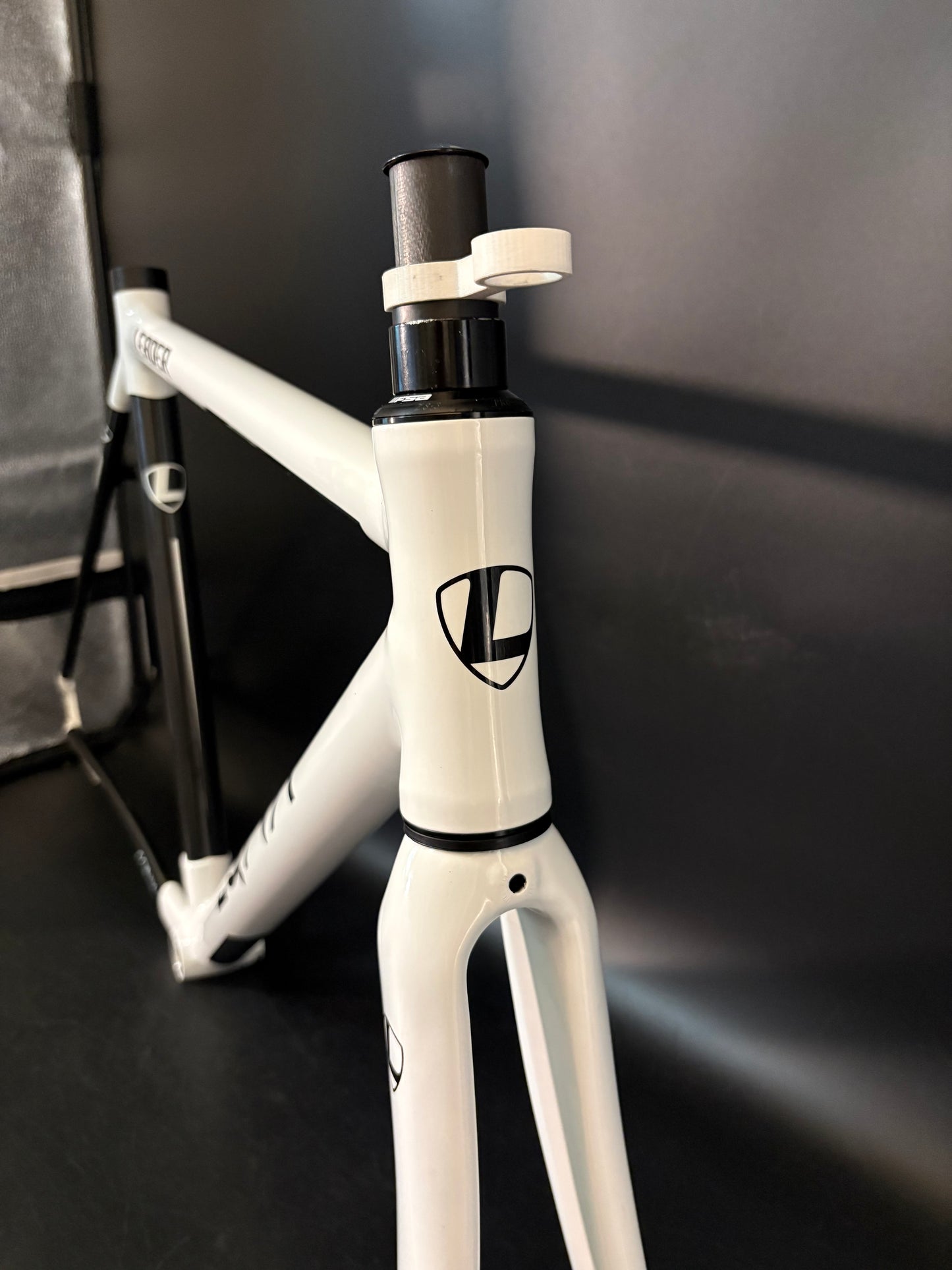 Leader EQNX Carbon Frameset White 54cm
