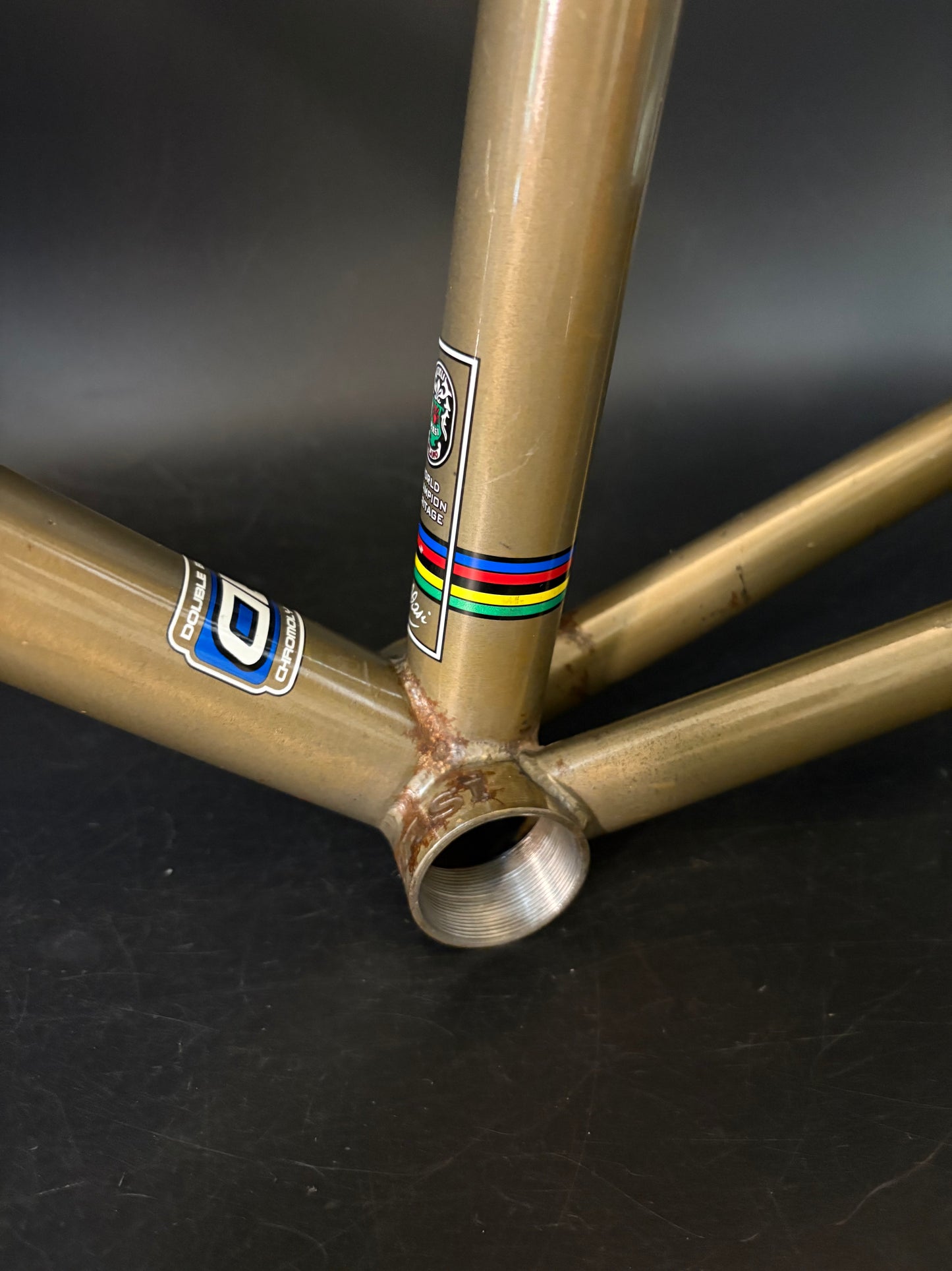 Masi Speciale Fixed LTD Frameset Raw 56cm