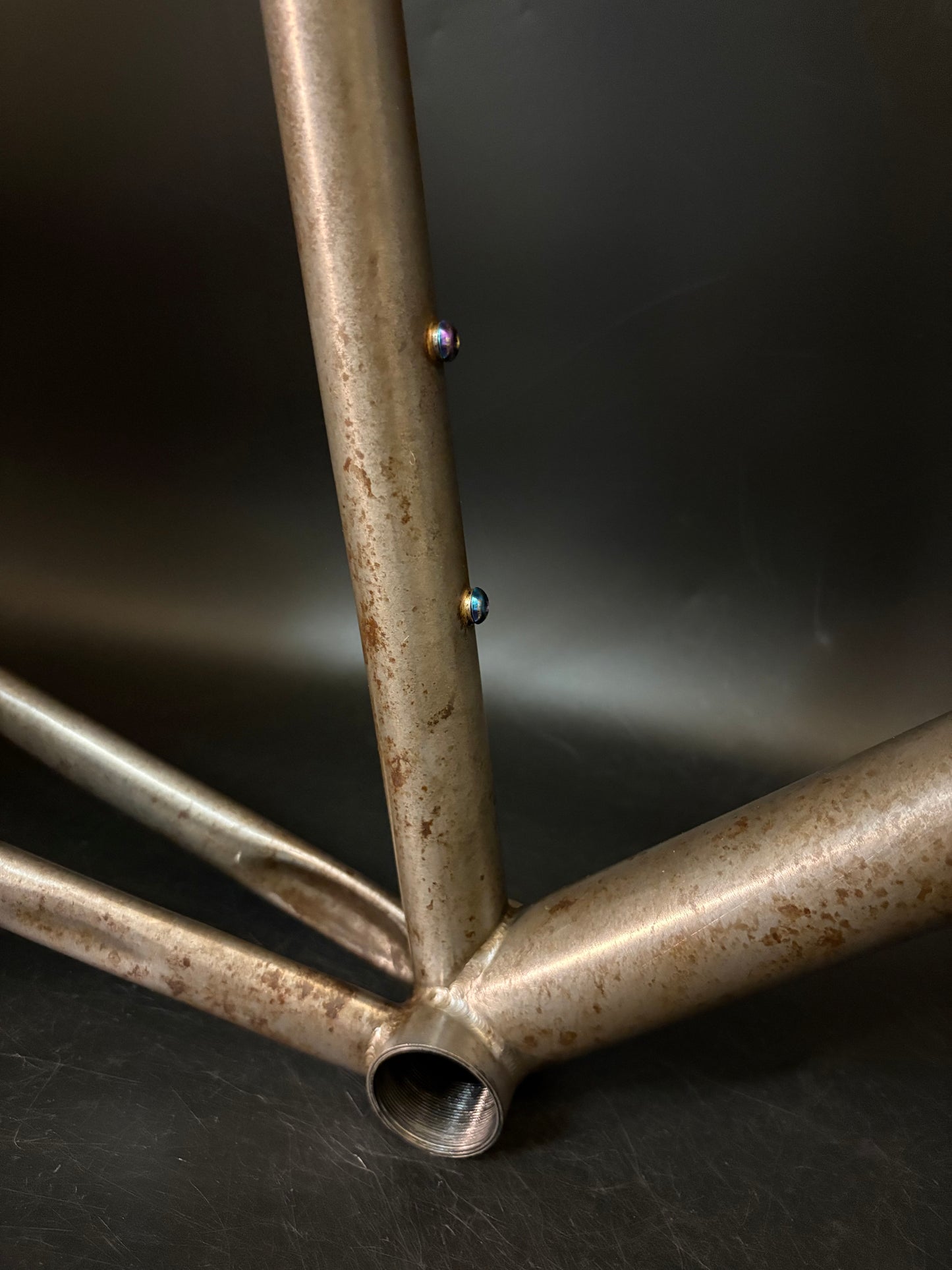 Affinity x Terry B Prototype Frameset Raw M