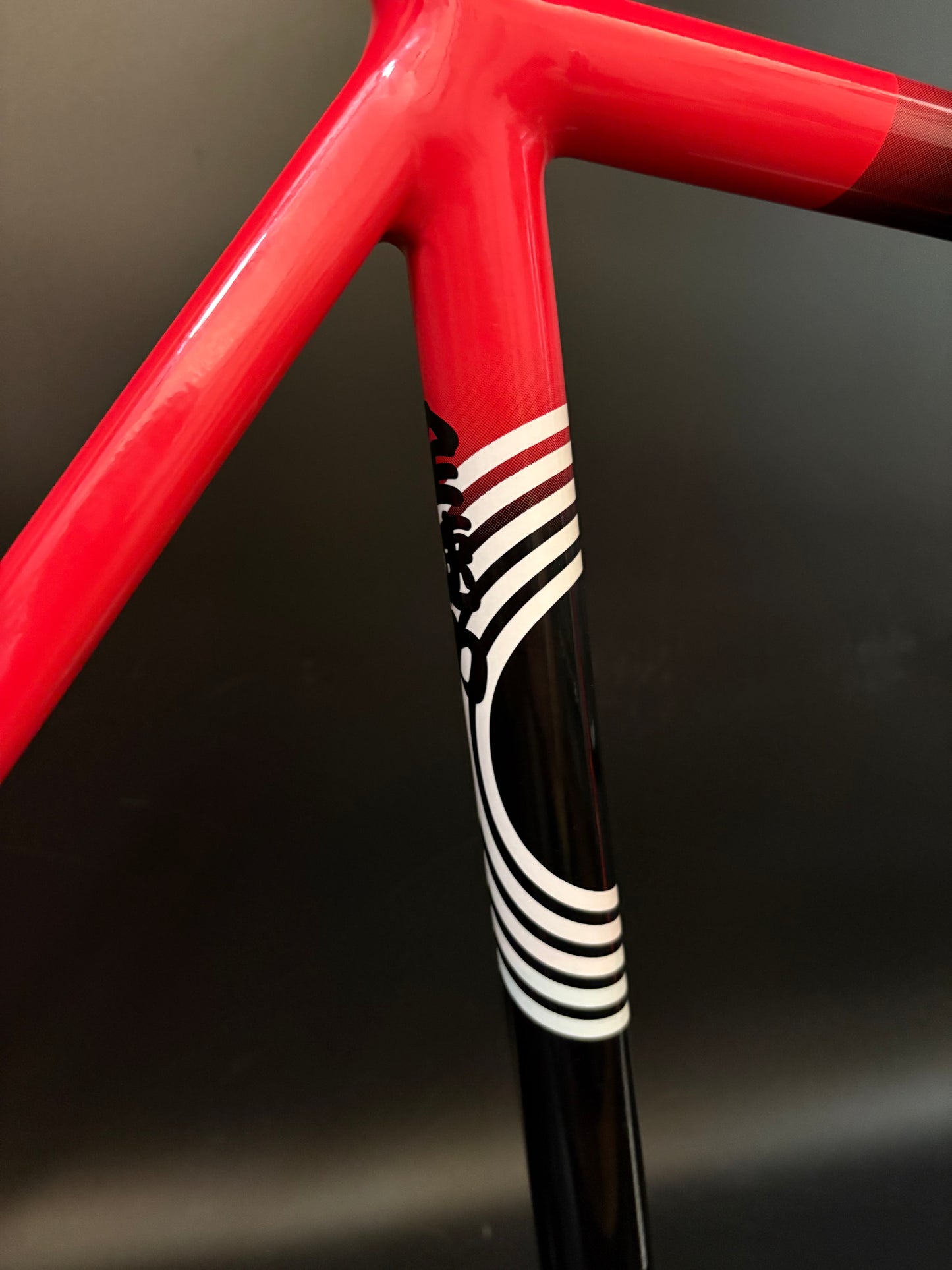 Engine 11 Crit D Frameset IRD Squadra Course Edition 56cm L