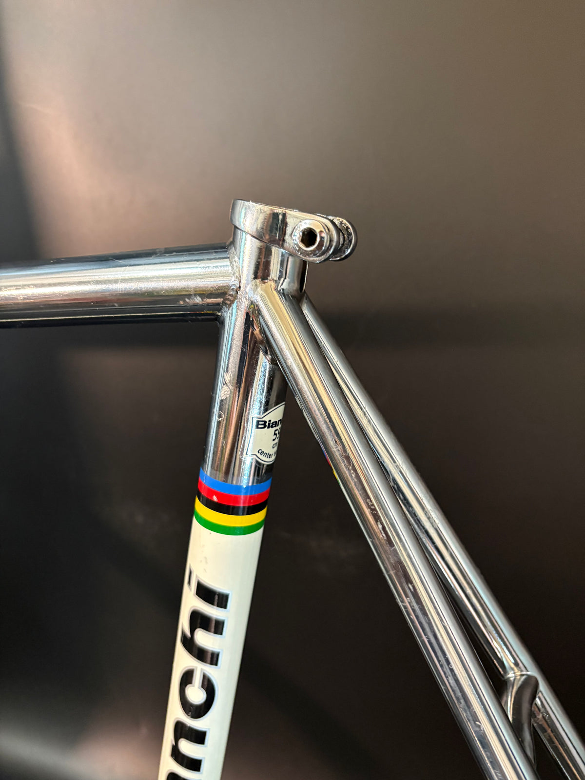 Bianchi Pista Frameset Chrome 59cm