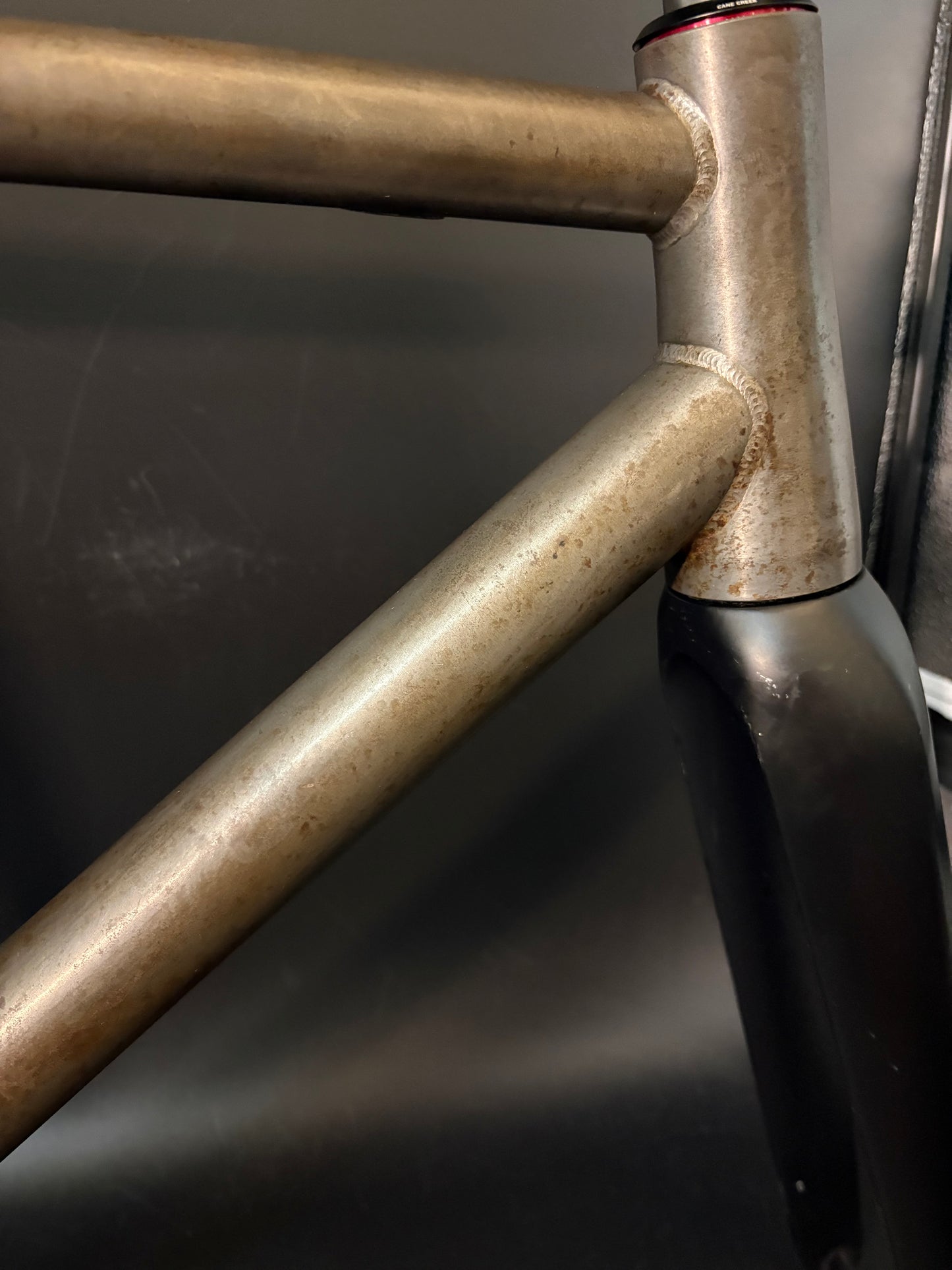 Affinity x Terry B Prototype Frameset Raw M