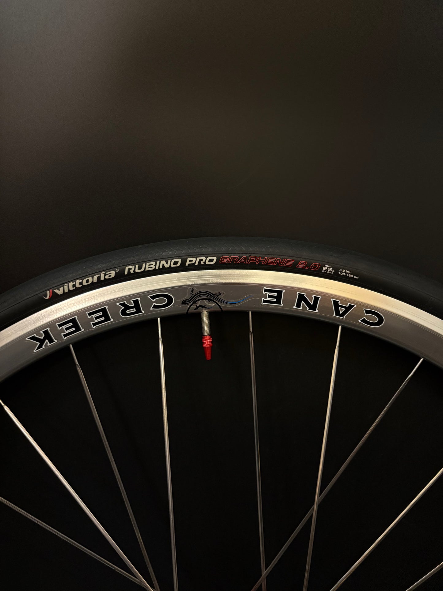 Cane Creek Wheelset Silver 24/28h