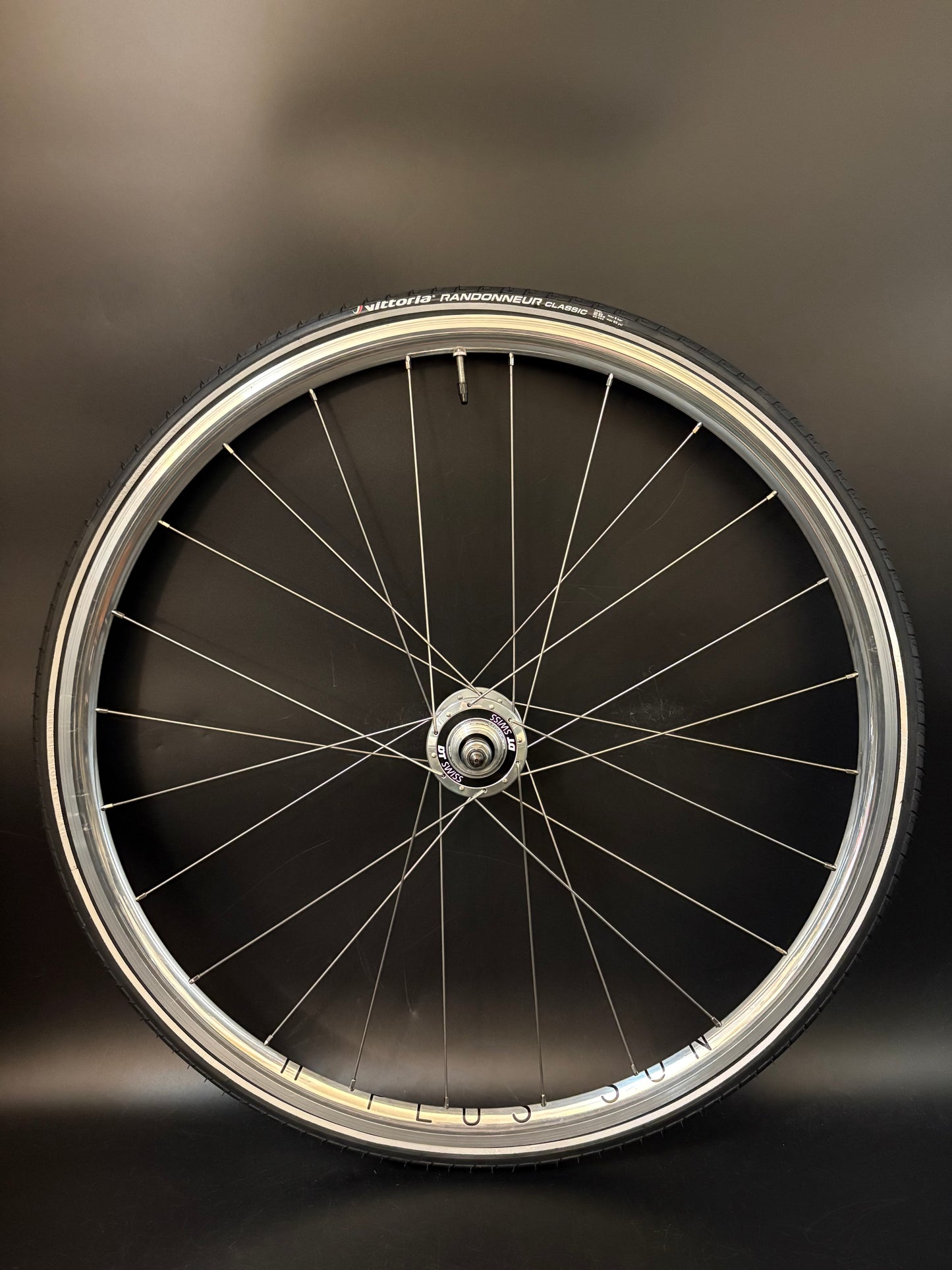 H Plus Son Archetype Silver / DT Swiss Wheelset 20/24h