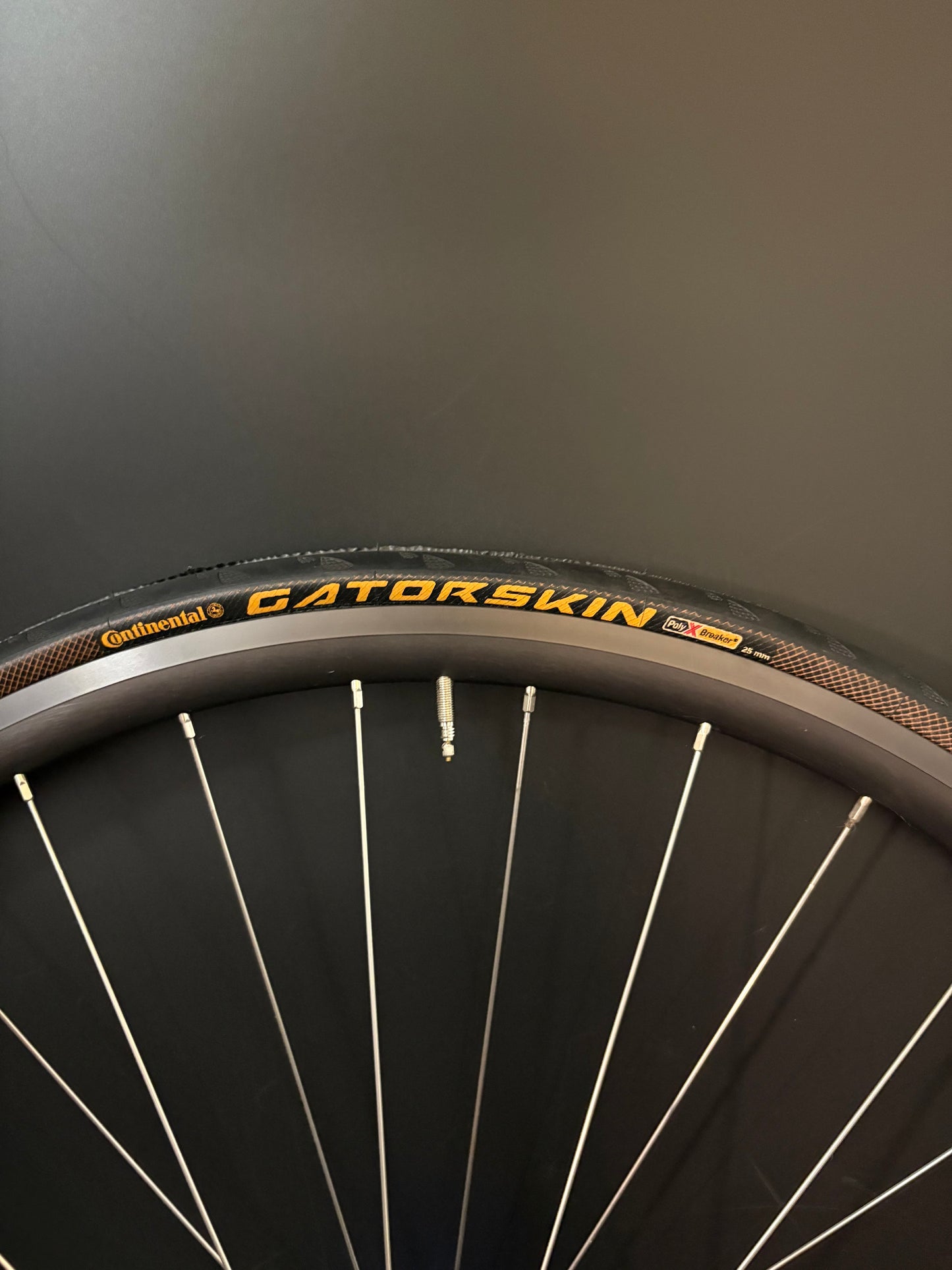 H Plus Son Archetype Grey / Phil Wood HF Blue Wheelset 32h