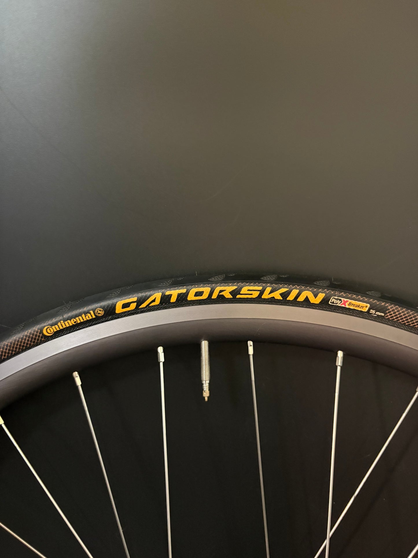 H Plus Son Archetype Grey / Phil Wood HF Blue Wheelset 32h