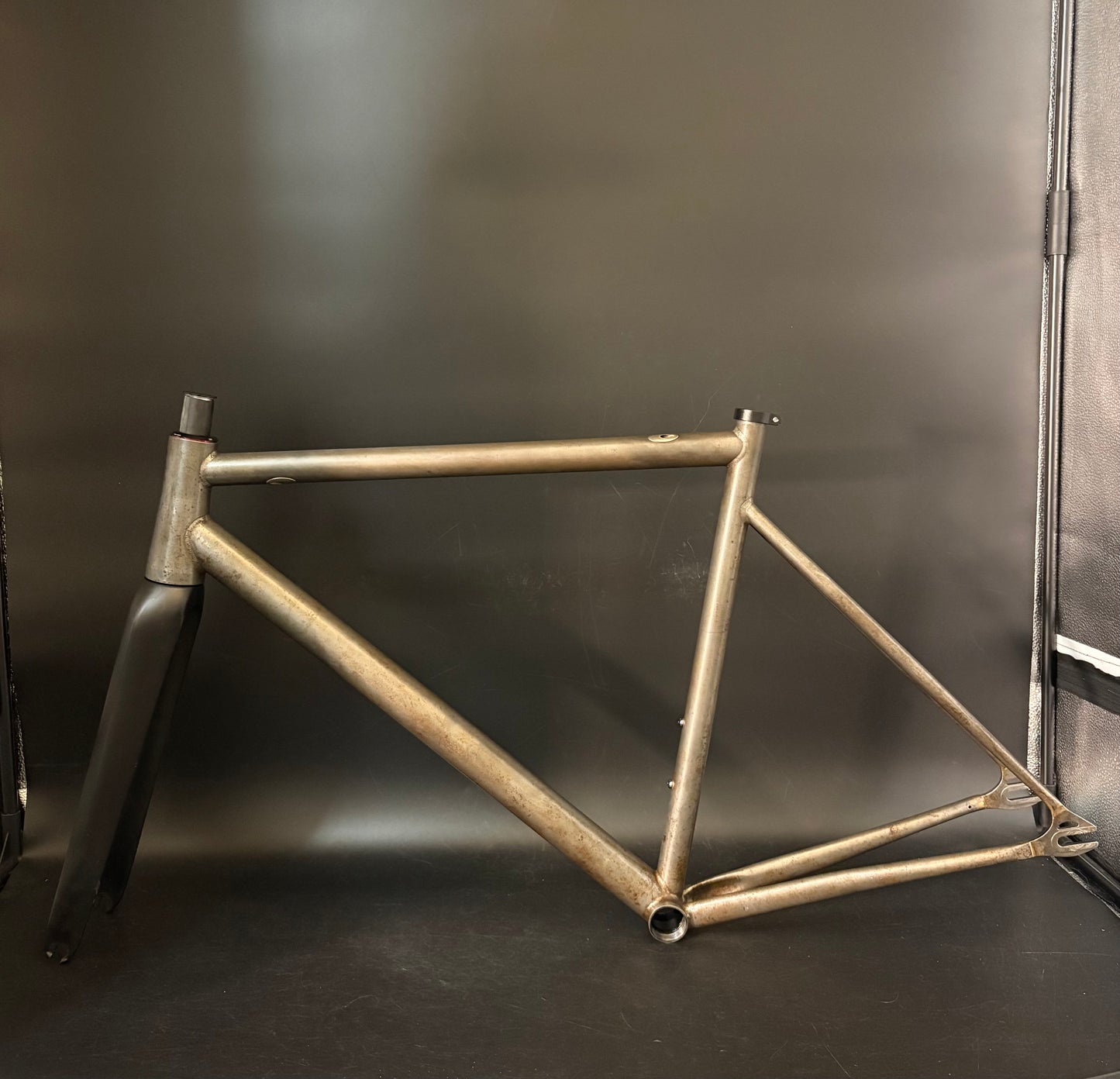 Affinity x Terry B Prototype Frameset Raw M