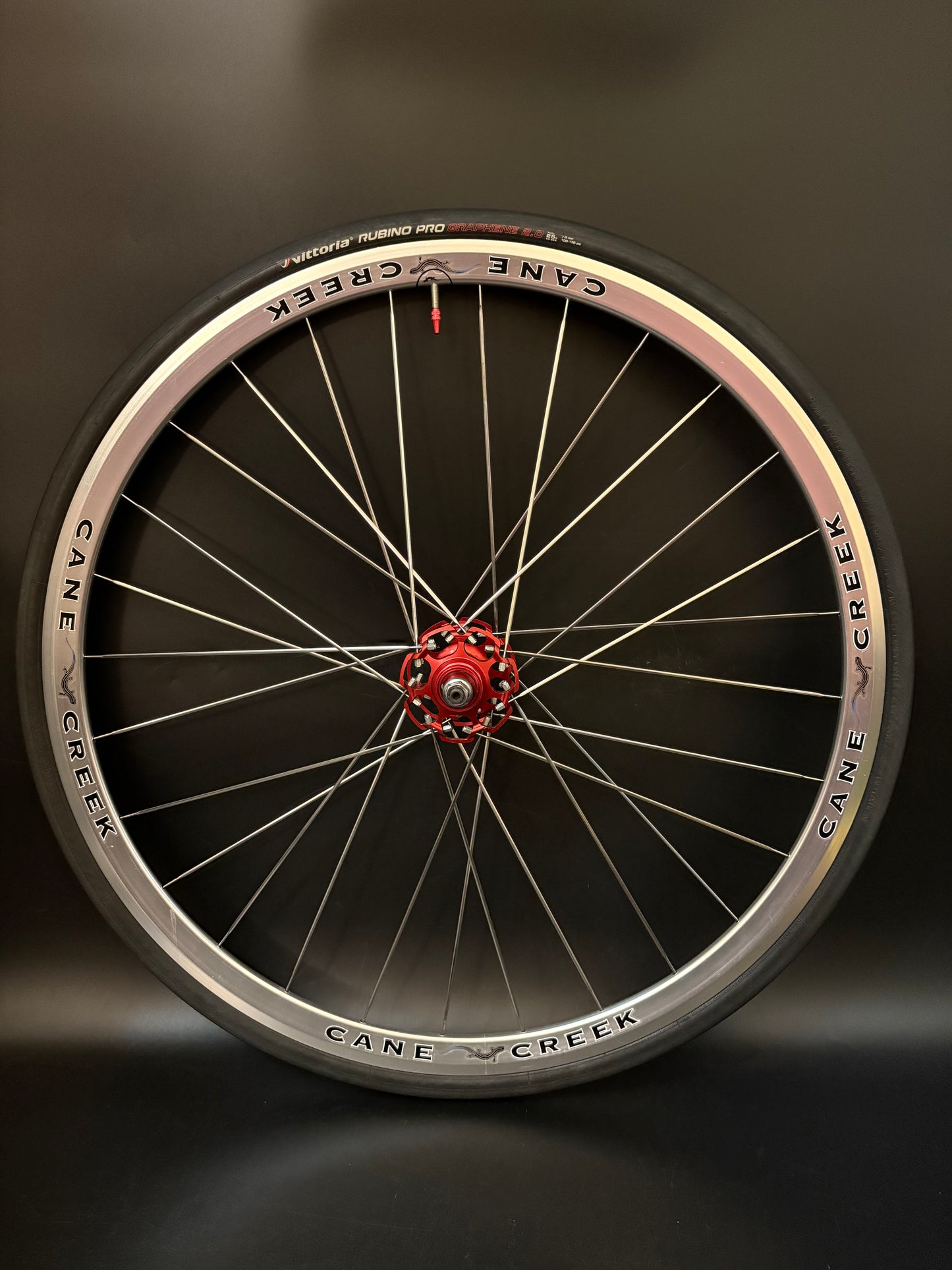 Cane Creek Wheelset Silver 24/28h