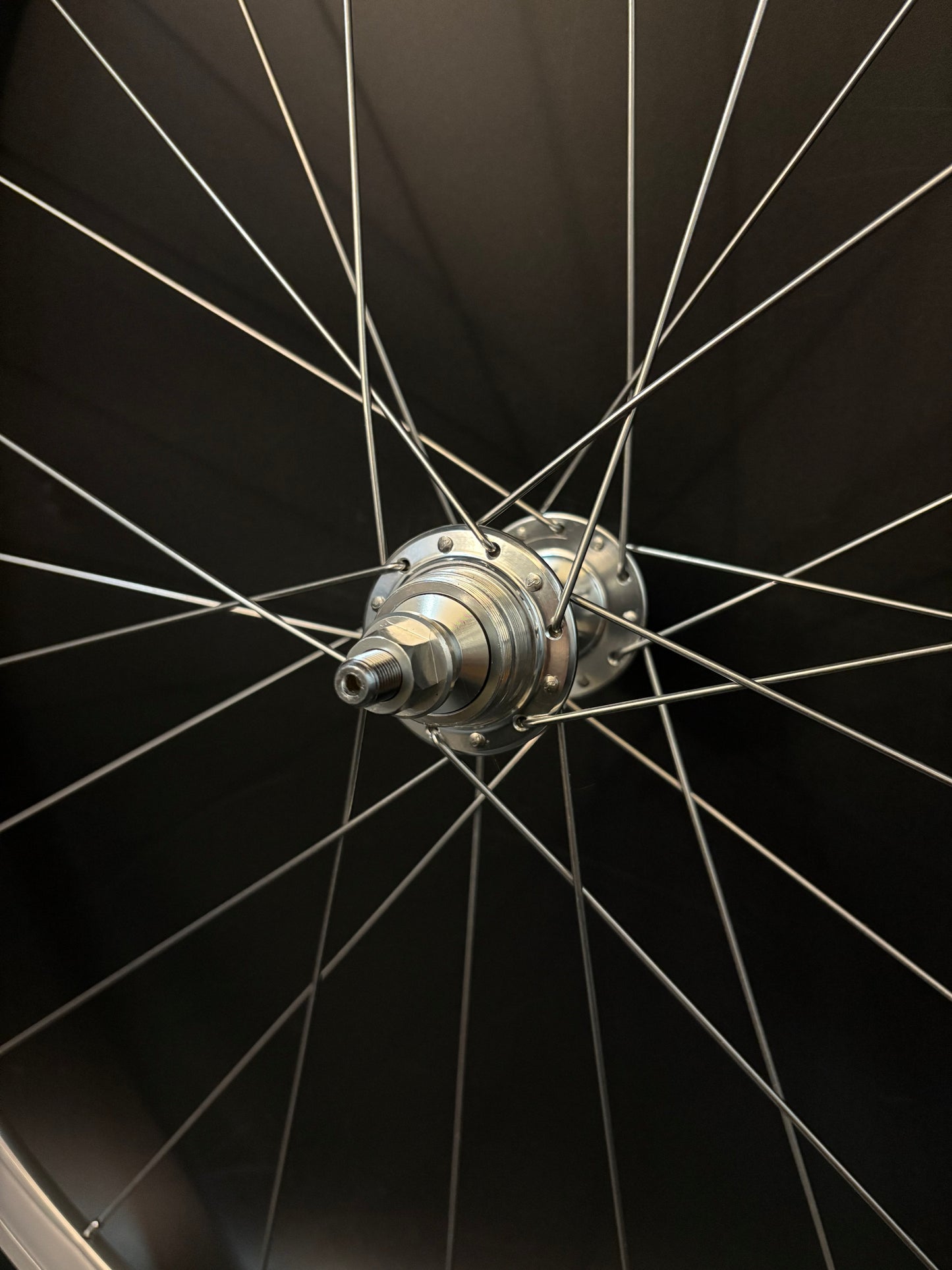 Blue Lug Gran Compe Track Wheelset Silver 20/24h