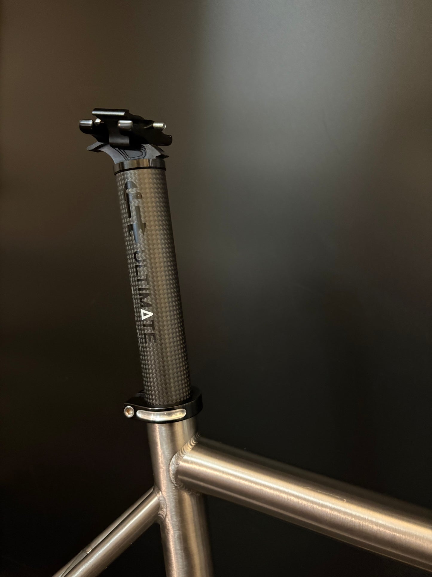 Walty Ti Track Frameset 56cm