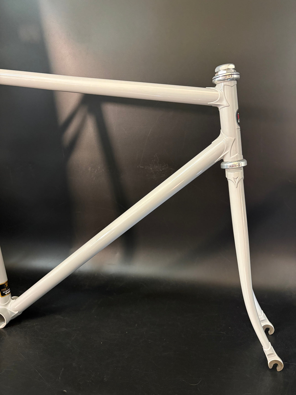 Panasonic NJS Frameset Grey 54cm