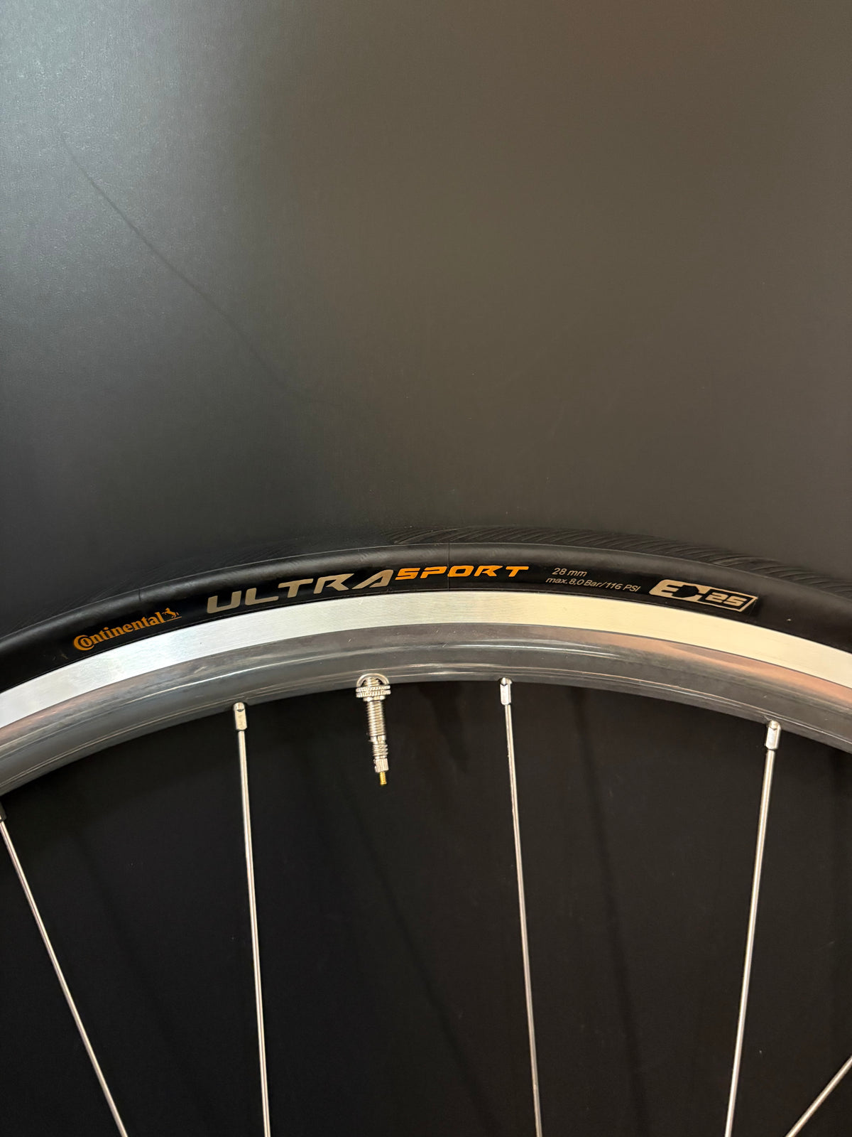 H Plus Son Archetype Silver / DT Swiss Wheelset 20/24h