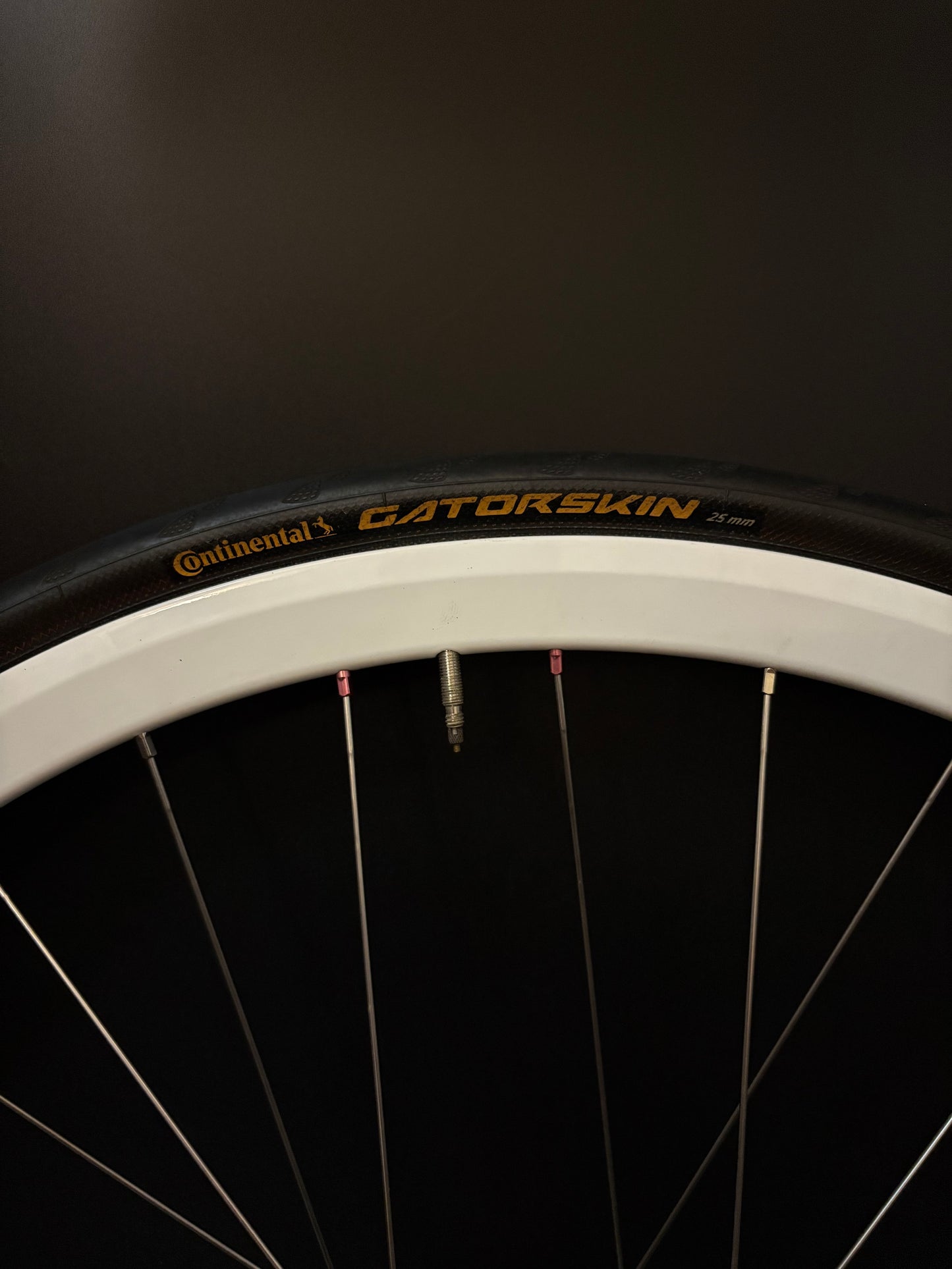 Velocity Deep V White / Gran Compe Pink Wheelset 32h