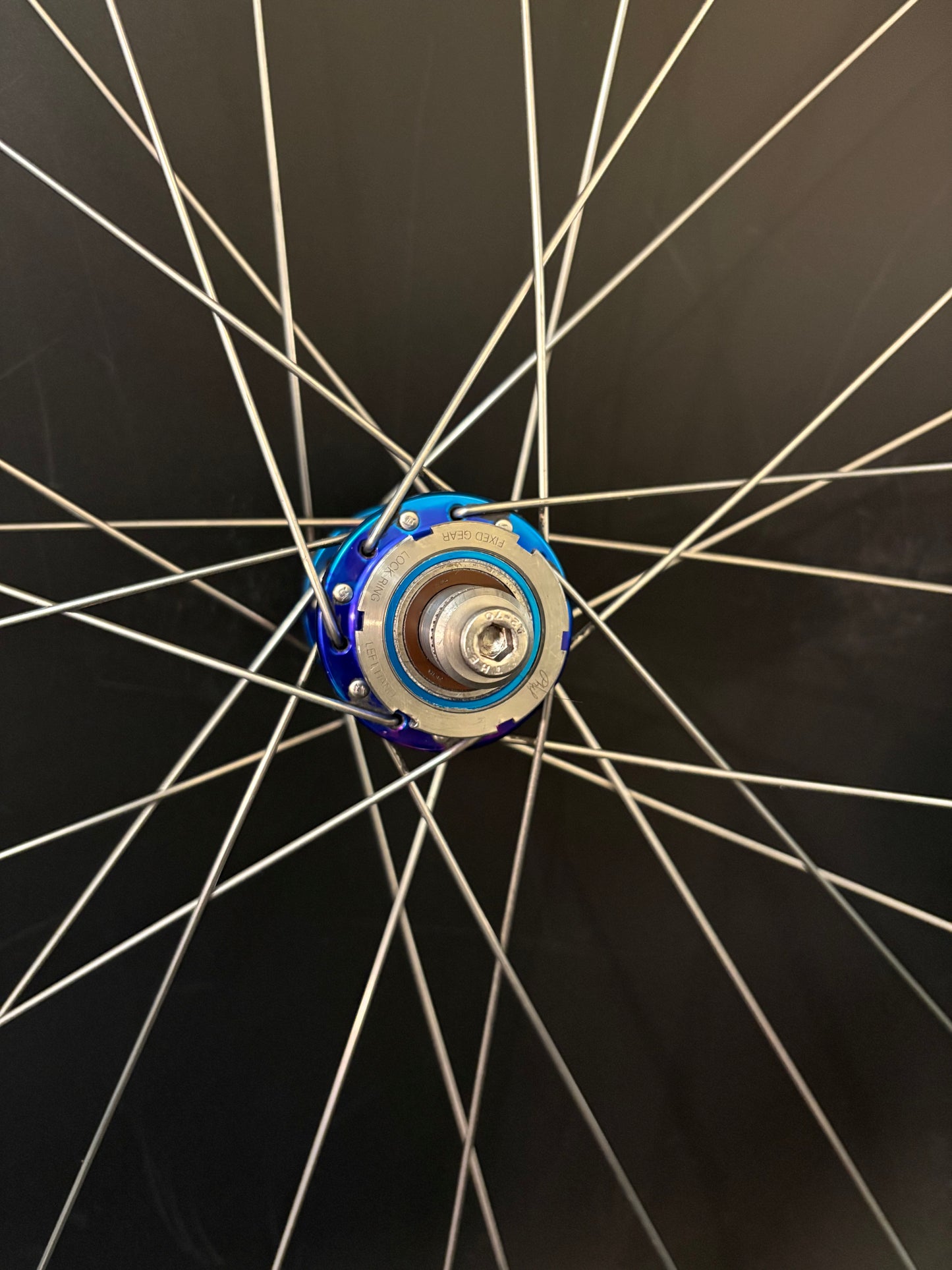 Velocity A23 Turquoise + Pink / Mash SF x Phil Wood Wheelset 28h