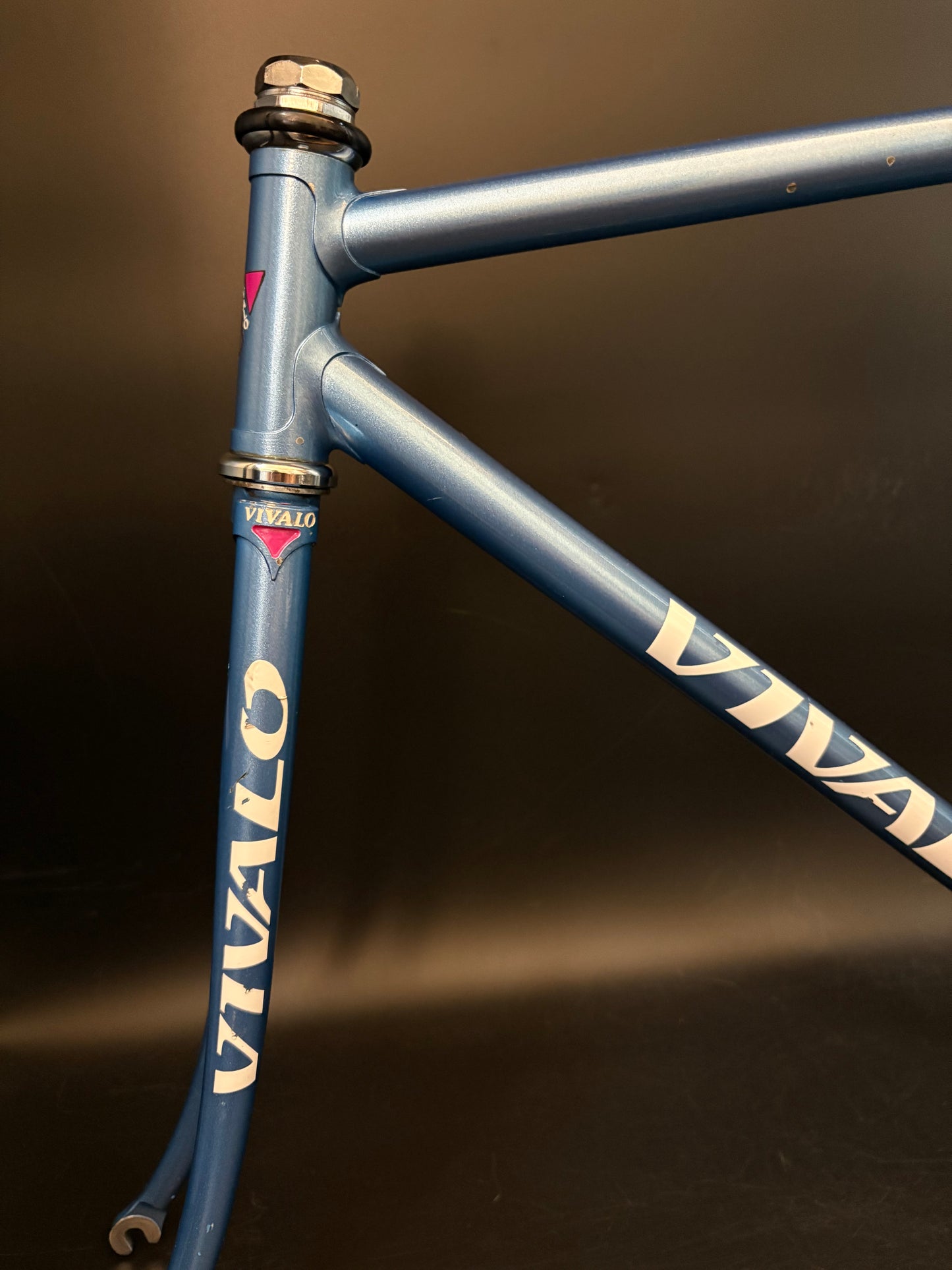 Vivalo Special NJS Frameset Blue 51.5cm TT 49cm ST