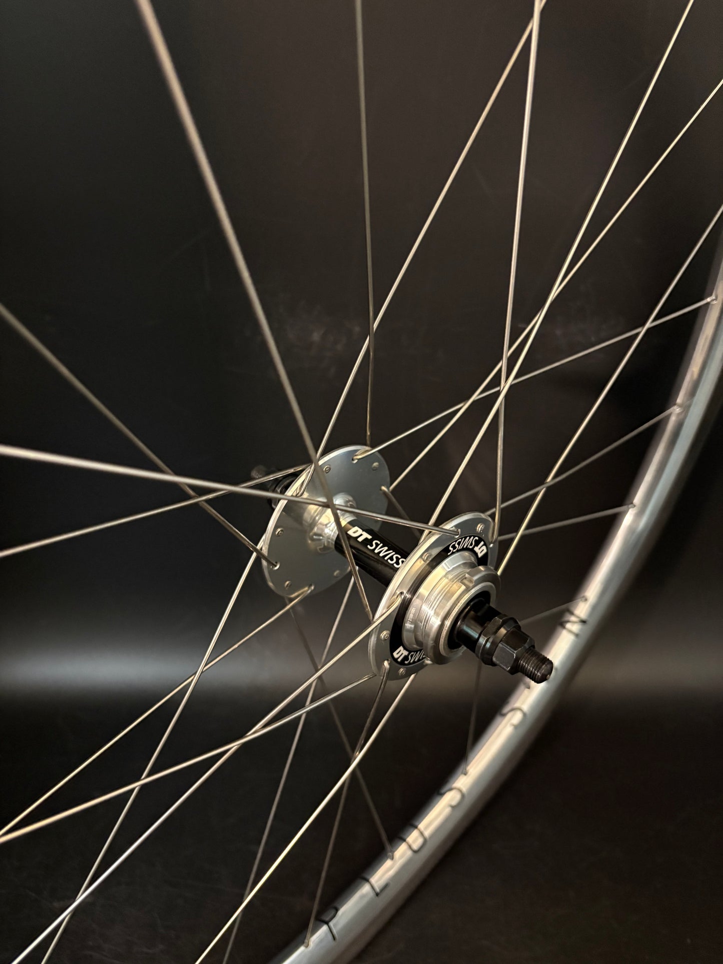 H Plus Son Archetype Silver / DT Swiss Wheelset 20/24h
