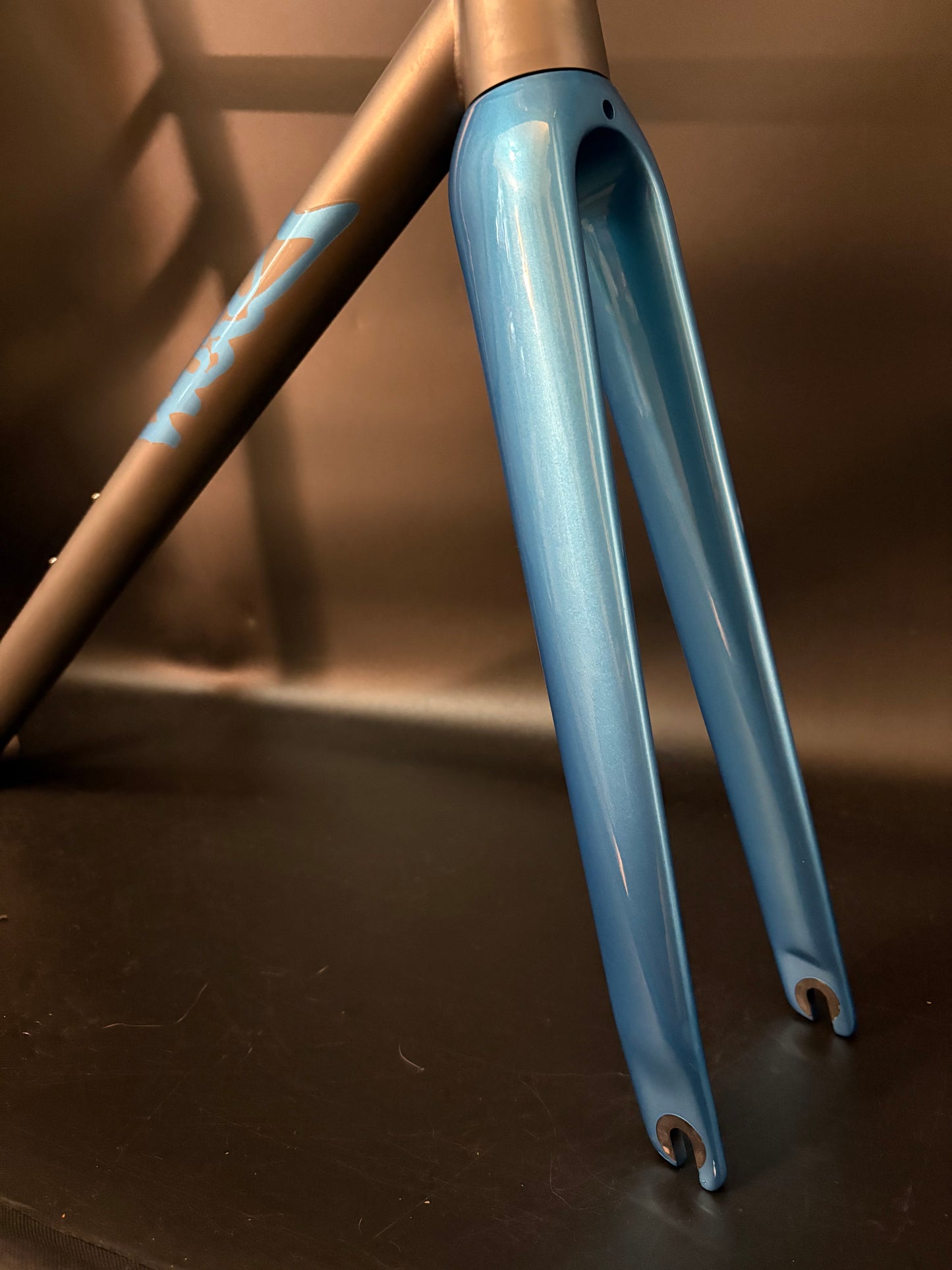 NEW Weis Hammer Ti Track Frameset Titanium Custom Finishing 55.5cm TT 71cm ST center