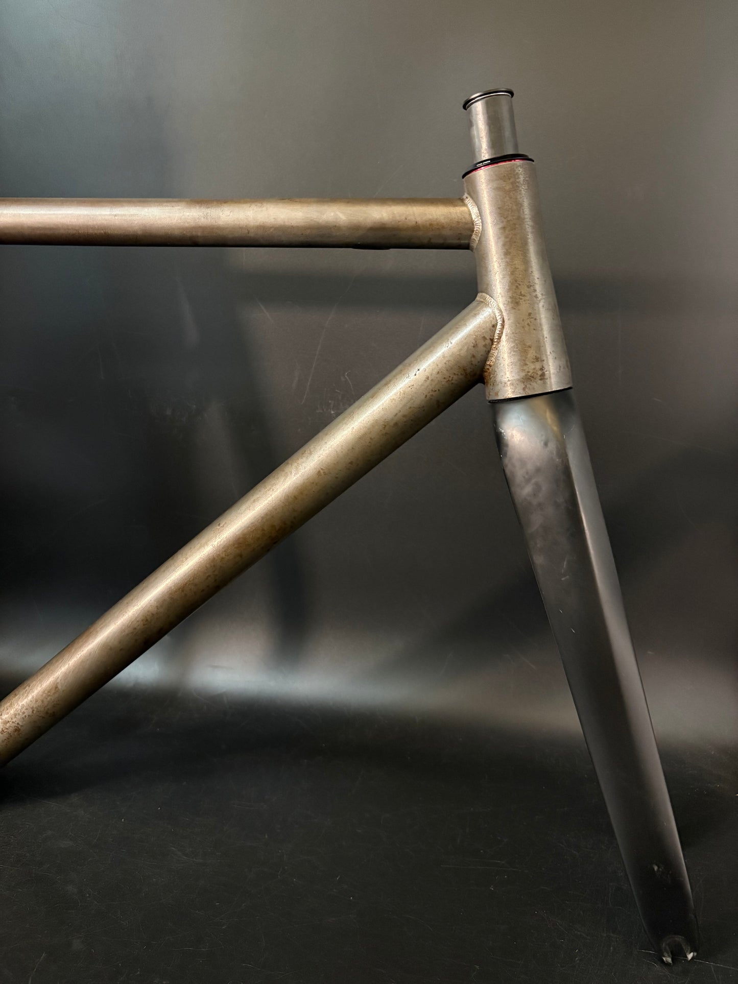 Affinity x Terry B Prototype Frameset Raw M