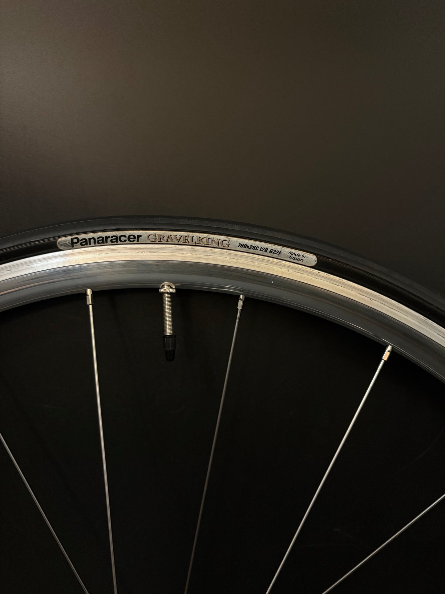 H Plus Son Archetype Silver / DT Swiss Wheelset 20/24h