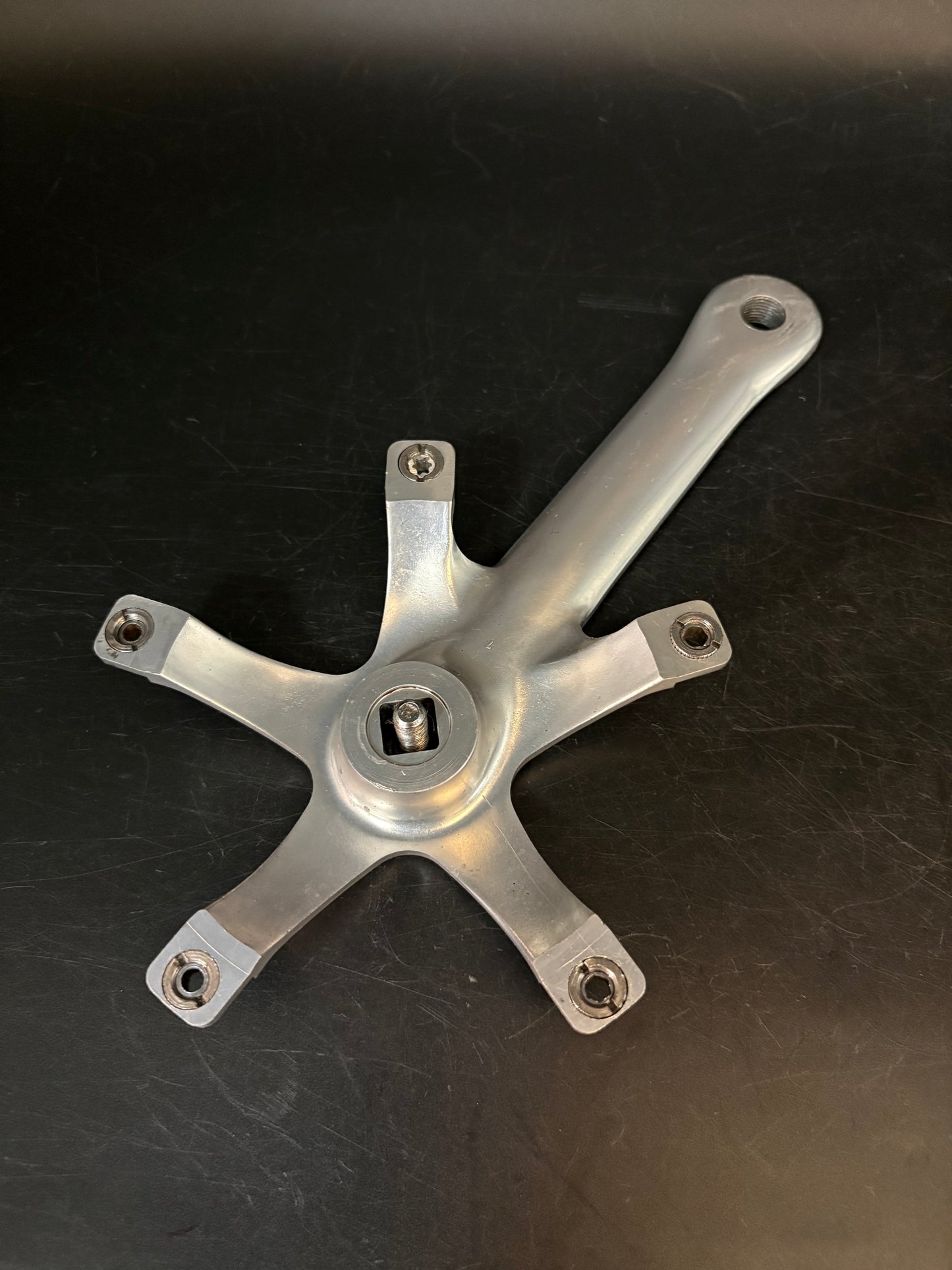 Campagnolo Record Pista Cranks Silver 170mm