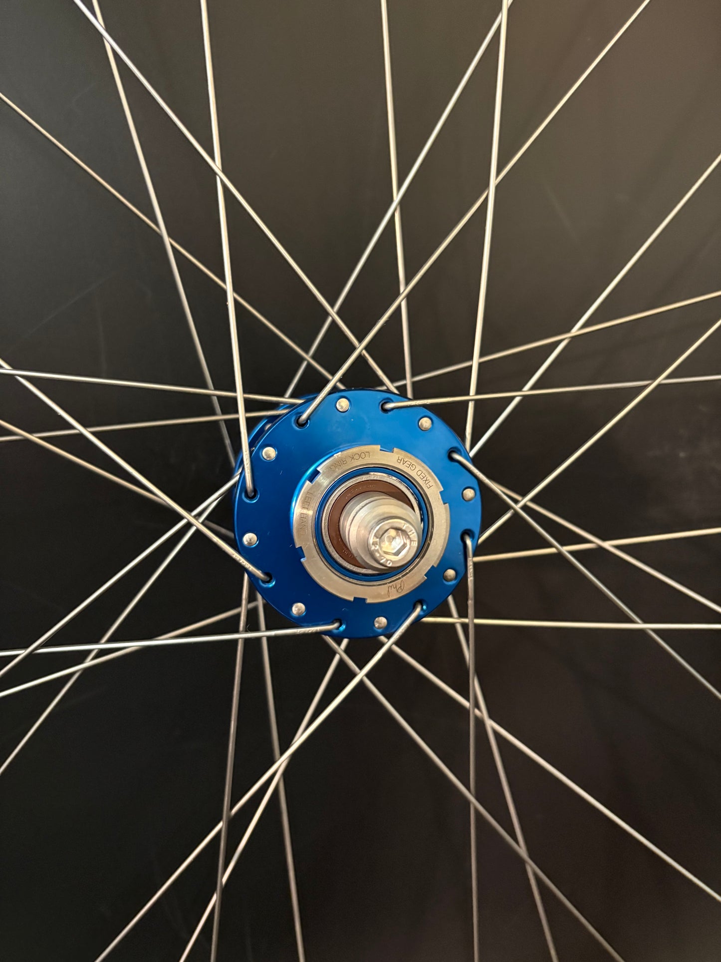 H Plus Son Archetype Grey / Phil Wood HF Blue Wheelset 32h