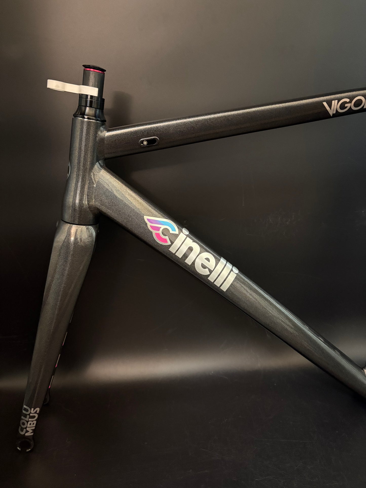 Cinelli Vigorelli 2024 Frameset Grey Rainbow Sparkle L