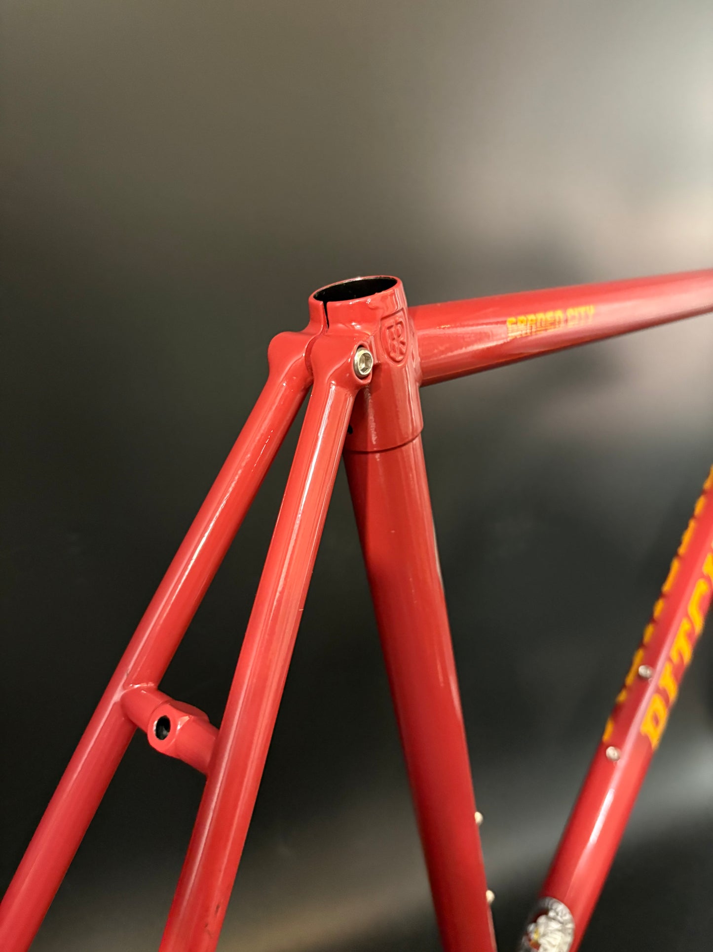 Ritchey Garden City Frameset Red Medium