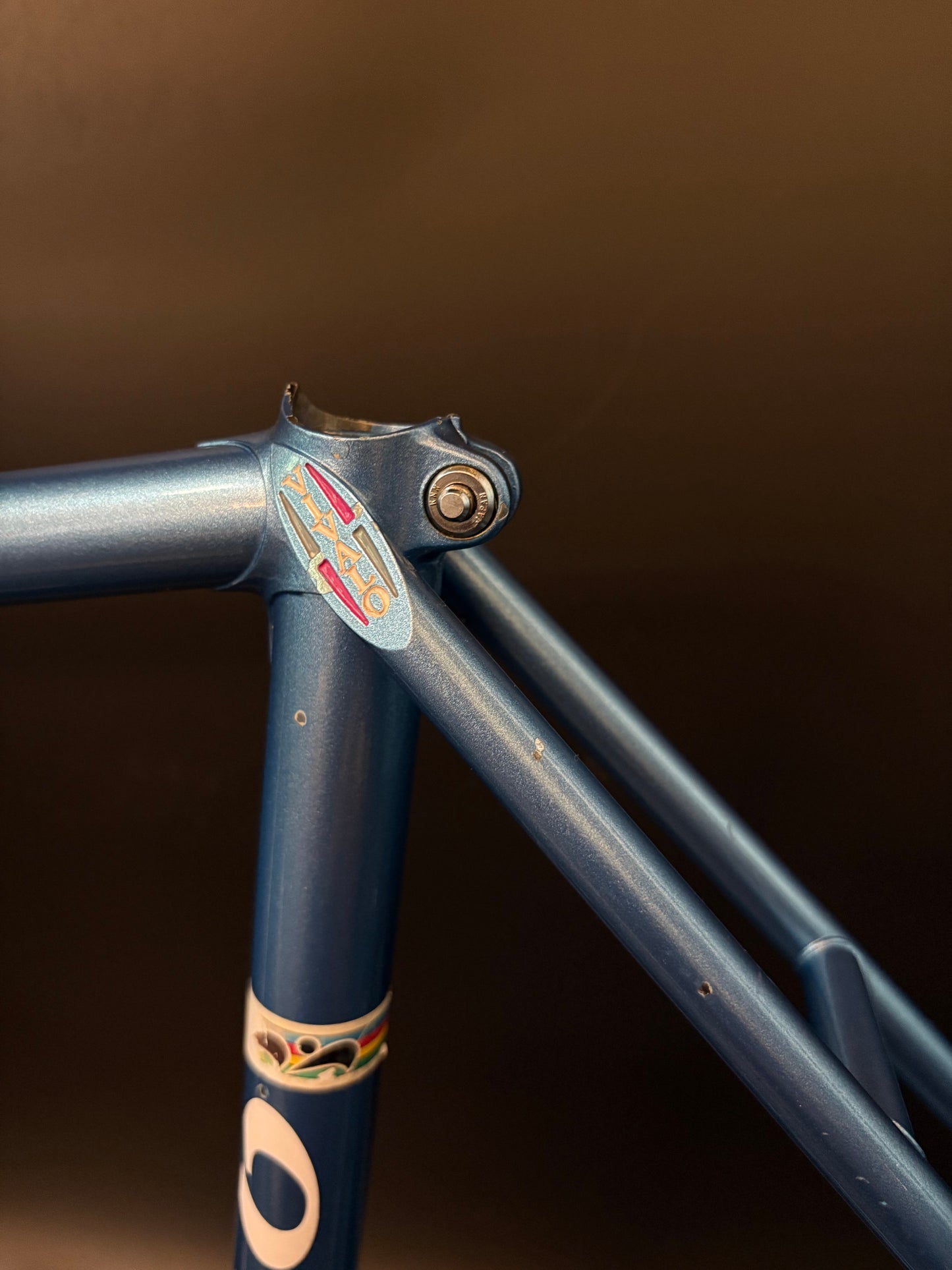 Vivalo Special NJS Frameset Blue 51.5cm TT 49cm ST