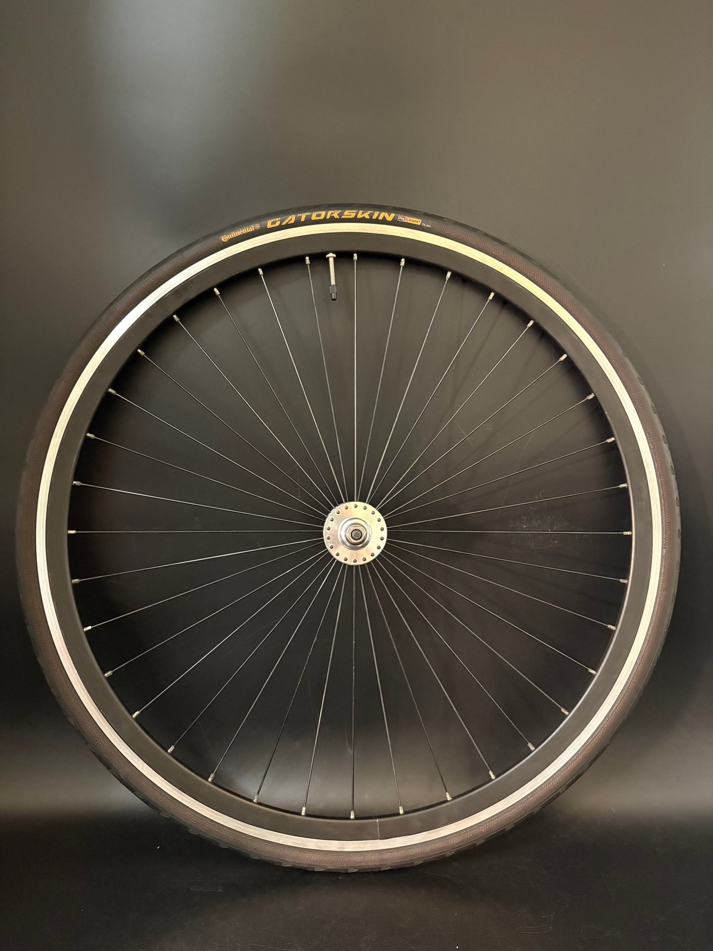 Deep V Machined Black / Surly Wheelset 36h