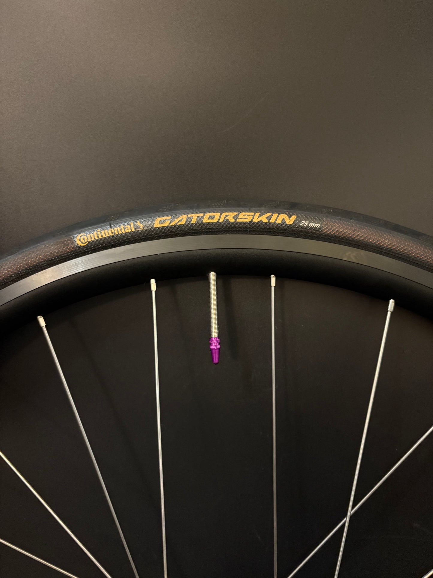 H Plus Son Archetype / DT Swiss Rear Wheel Black 24h