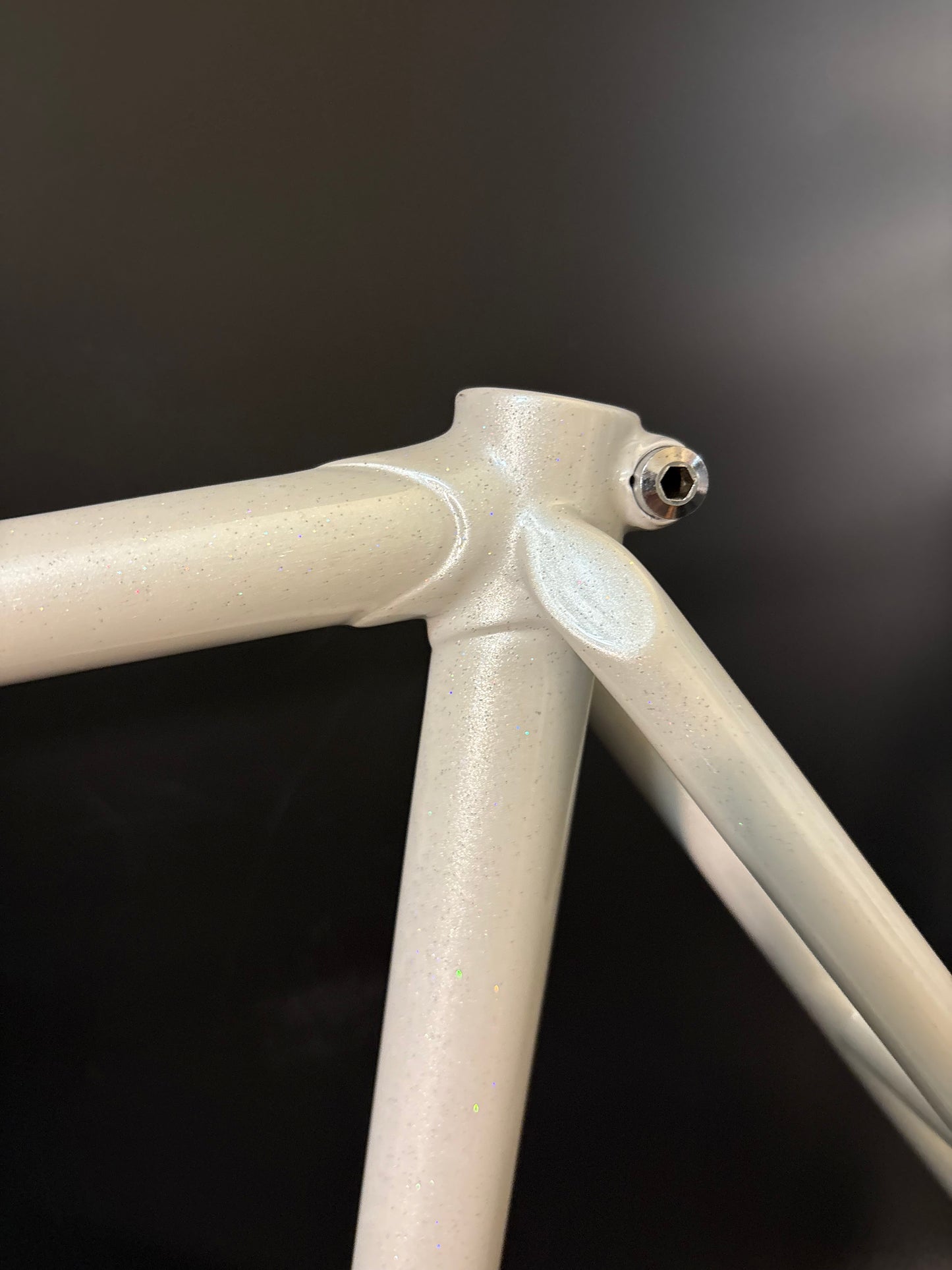 Unbranded Track Frameset White Sparkle 56cm ST 55cm TT