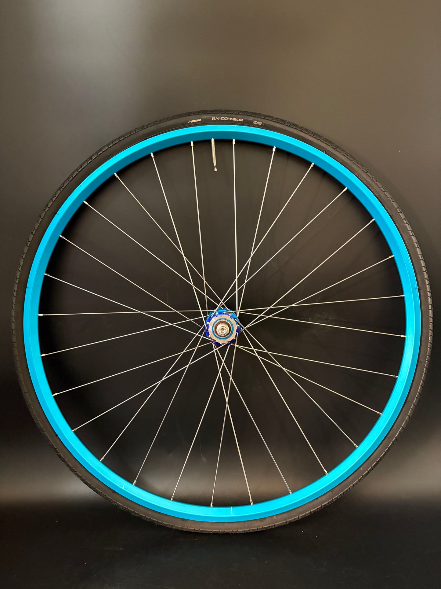 Velocity A23 Turquoise + Pink / Mash SF x Phil Wood Wheelset 28h