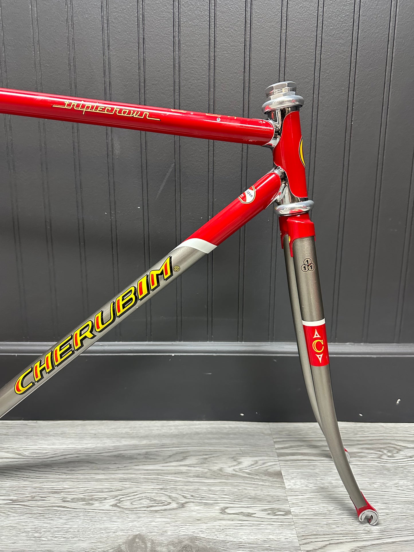 Cherubim Triple Crown NJS 52cm TT 50cm ST